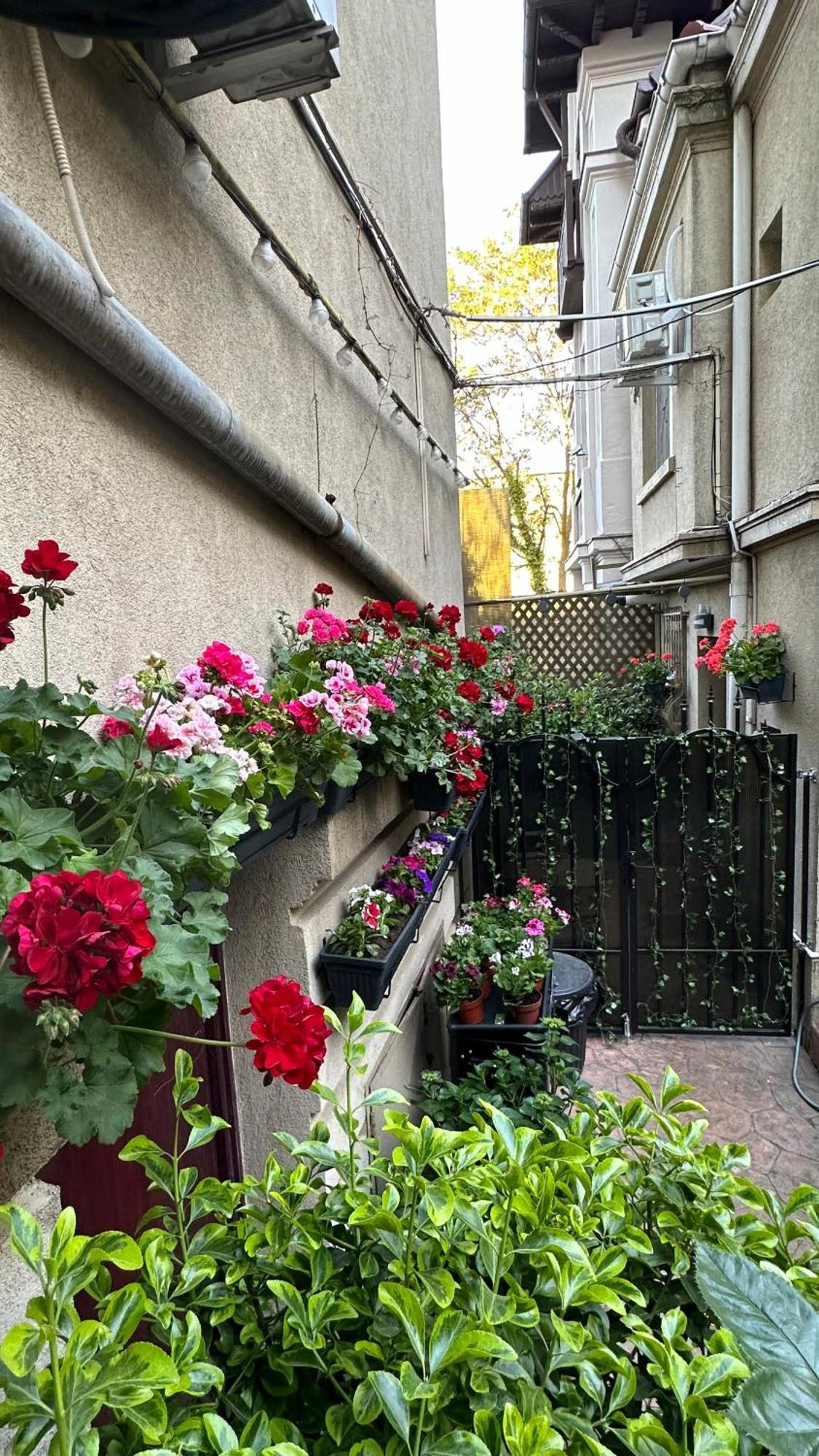 Casa De Povesti - Calea Victoriei Lägenhet Bukarest Exteriör bild